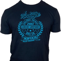 Camiseta Vintage 2013 - Ano da Perfeição