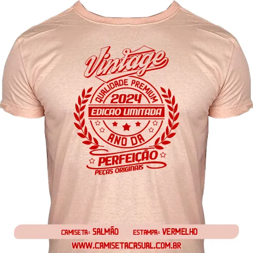 Camiseta Vintage 2024 - Ano da Perfeição